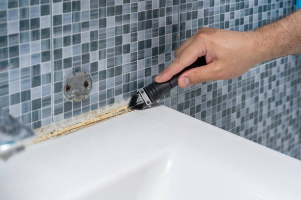 Best Black Mold Removal  in Bellerose Terrace, NY